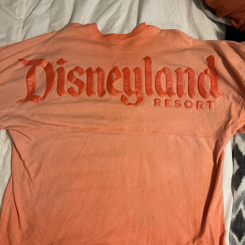Disneyland Spirit Jersey adults